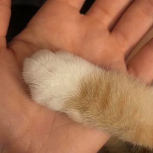 Meet your Posher, Deena